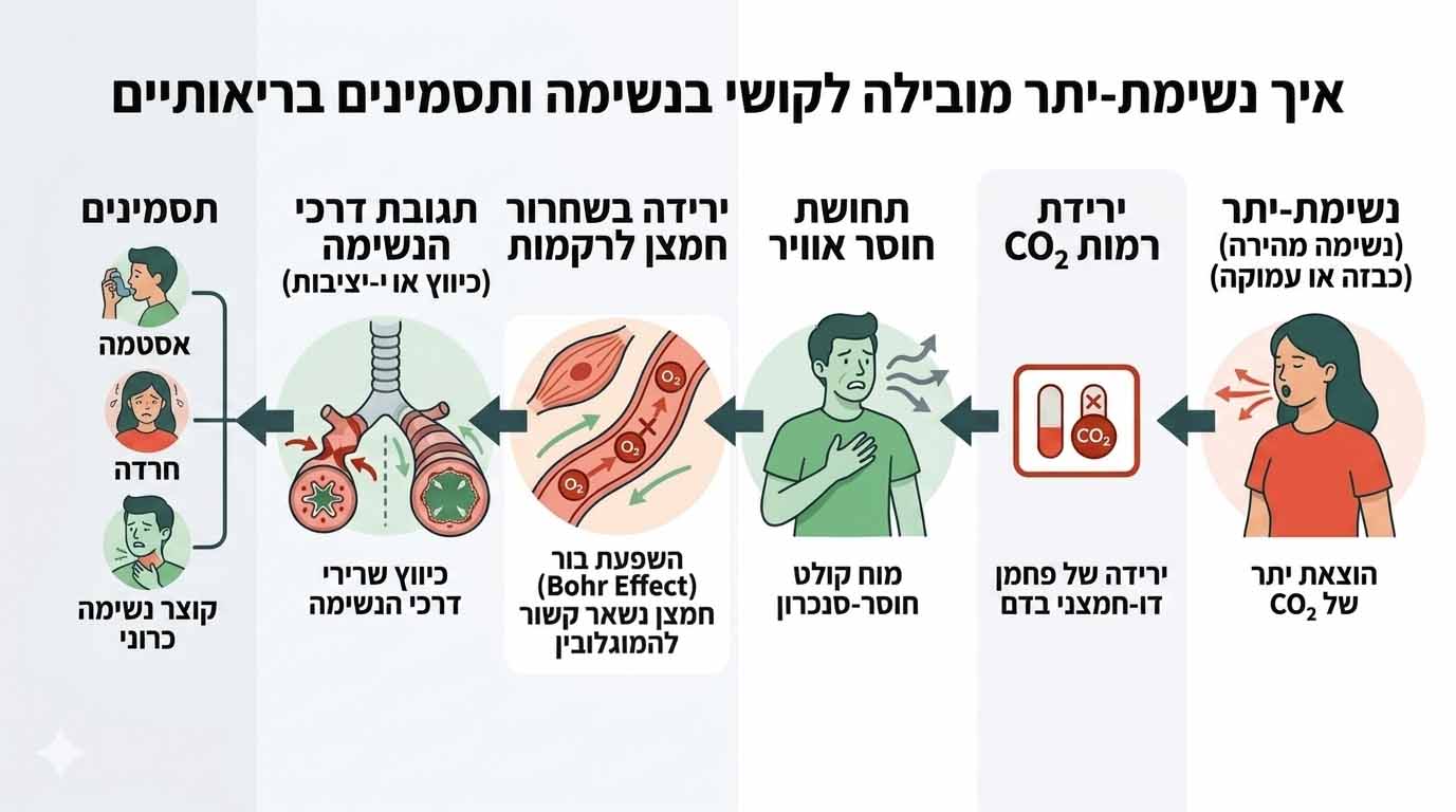 תרשים זרימה של תהליך נשימת יתר: ירידת CO2, פגיעה בניצול חמצן והופעת תסמיני נשימה