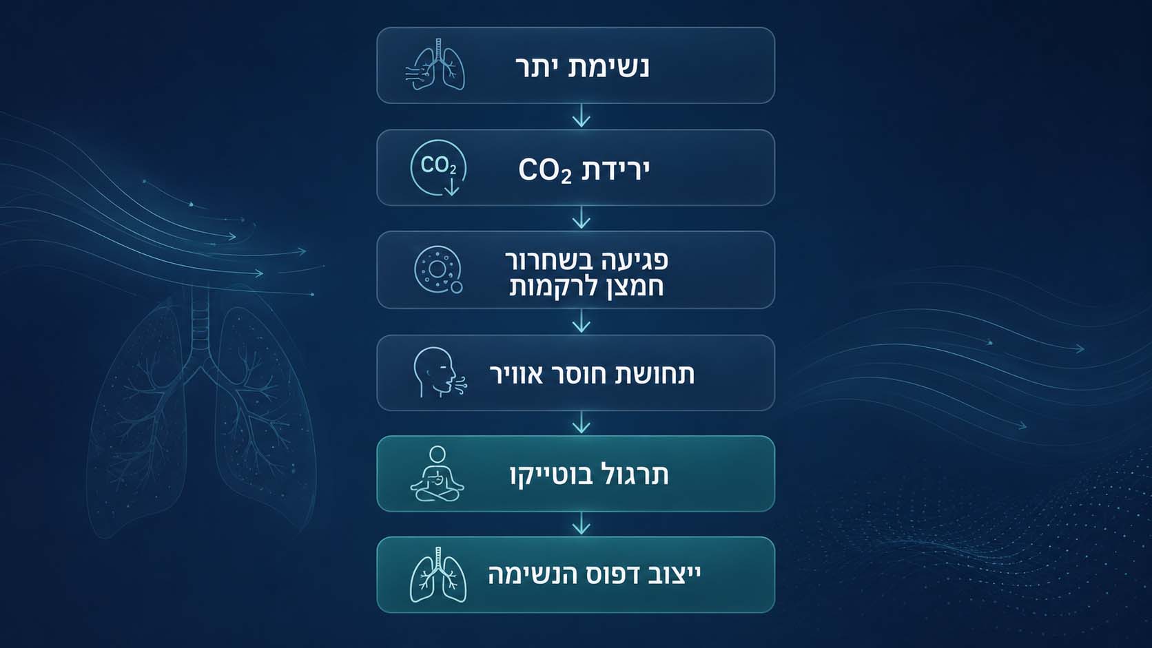 מנגנון שיטת בוטייקו: נשימת יתר, ירידת CO₂ וייצוב דפוס הנשימה